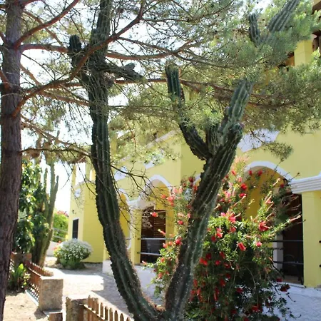 Marina 1990