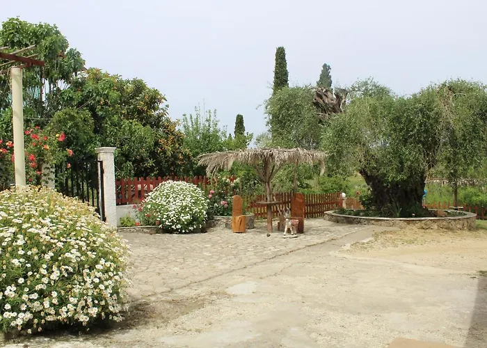 Marina 1990 *