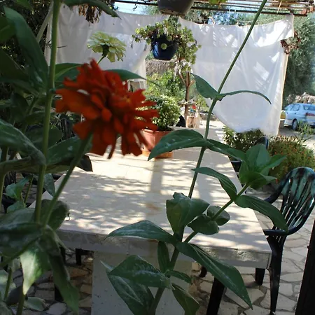 Marina 1990 Agios Georgios Pagon