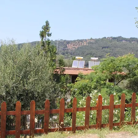 Marina 1990 Apartament Agios Georgios Pagon